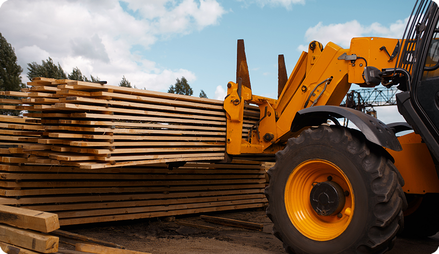 Ağaç Yongası Emtia İthalatı Finansmanı