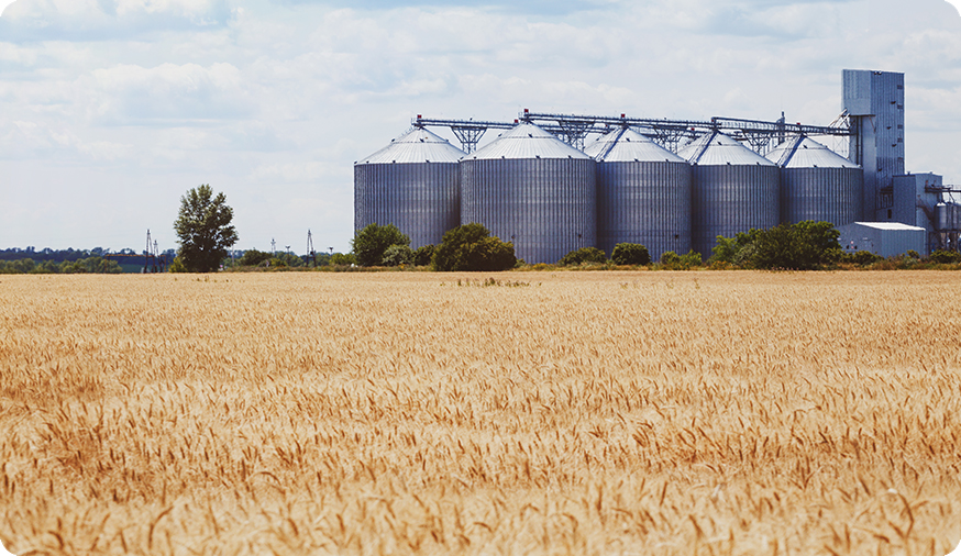 Agricultural Products Import Financing